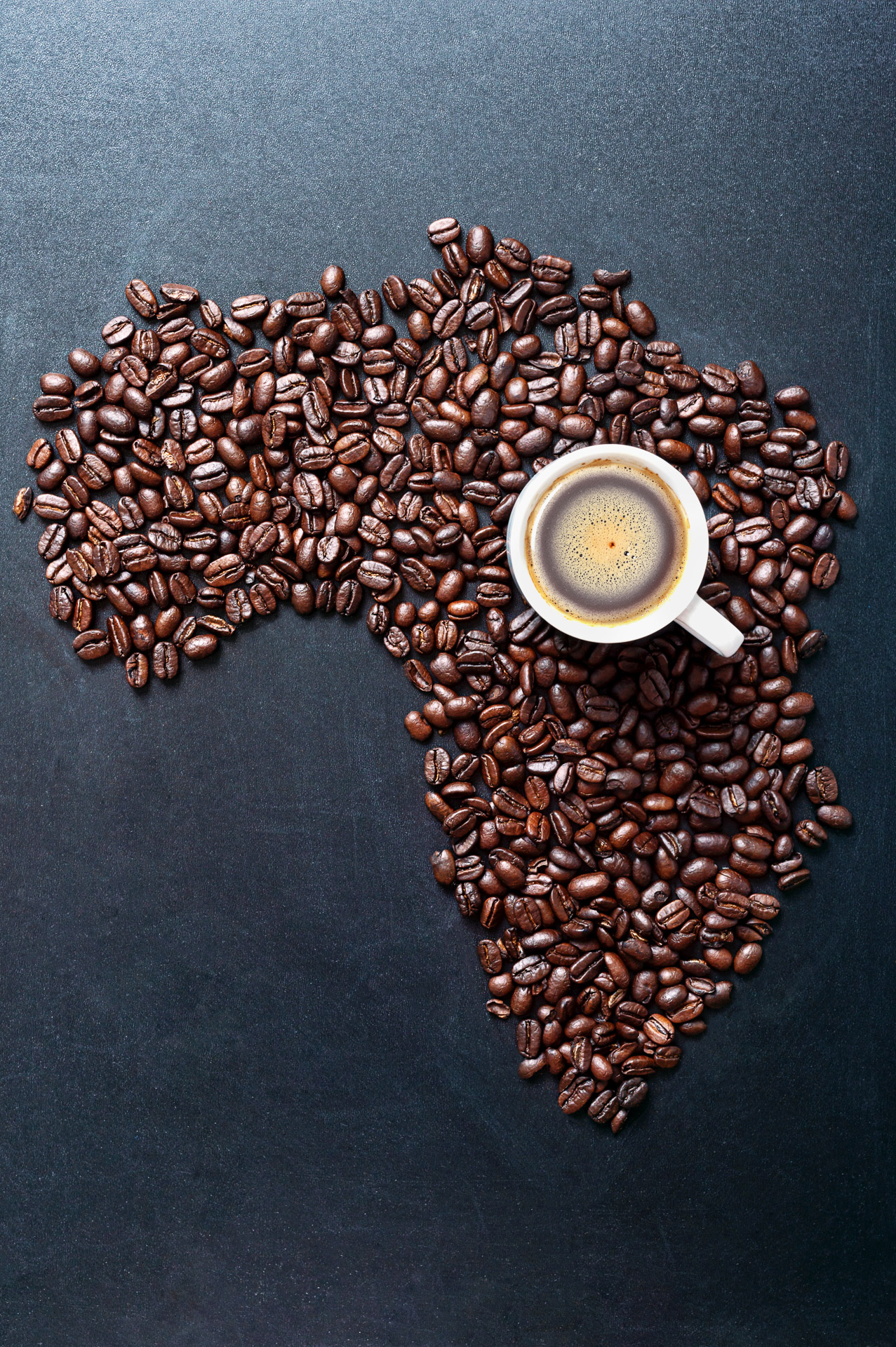 Roasted coffe beans shaping Map of the Africa on blackboard with cup of coffee. Major world coffee producers concept.